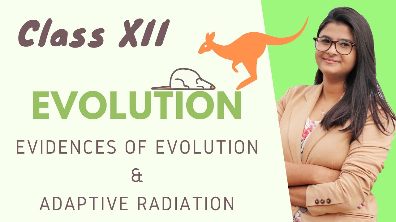 Evolution || Evidences of Evolution & Adaptive Radiation || HINDI (NCERT)
