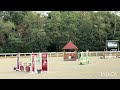 Top poney d&rsquo;avenir 
