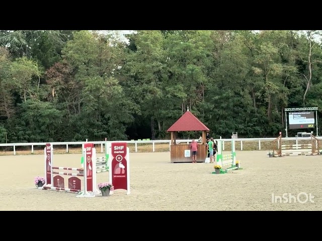 Top poney d&rsquo;avenir 
