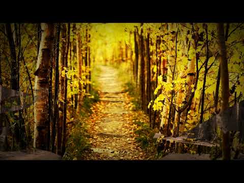 Radmila Dimić, Oj, devojko mala da ti kolan kupim