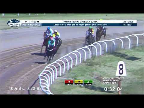 YOUNG SEA - San Isidro - 23/1/2026