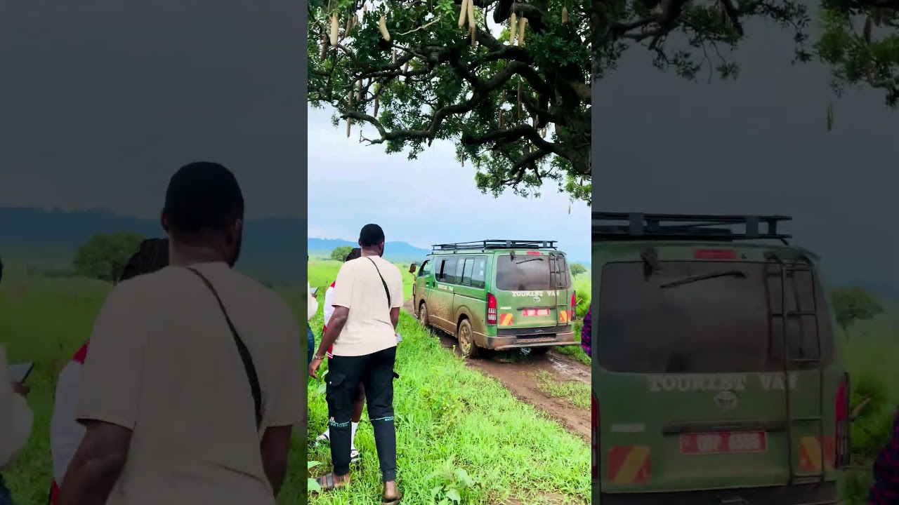 Kidepo National Park #travel #nature #beautiful #uganda #traveltips #travelvlog #beautiful