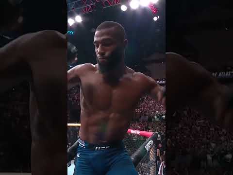 UFC video artwork