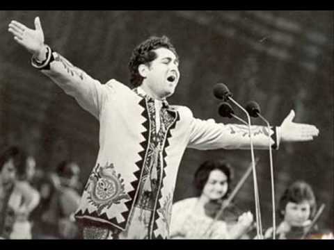 Nicolae Sulac - La o margine de drum