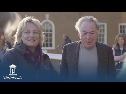 Tattersalls October Yearling Sale Book 1 2021 Day 2 Review