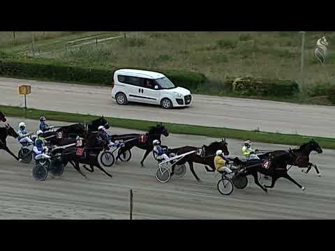 Aversa trotto 7 Maggio 2022 - 2° Corsa