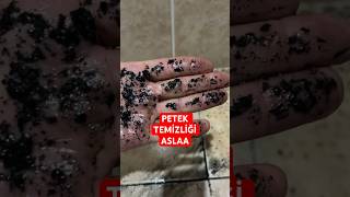 Petek temizliği nasıl yapılır ☎️0542 764 0 178