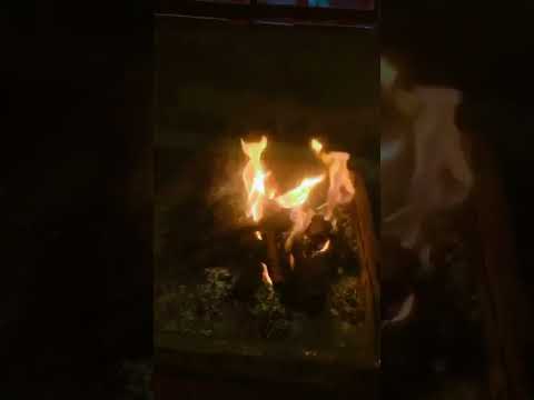 Beach party #food #viral