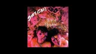 Soft Cell The Art of Falling Apart