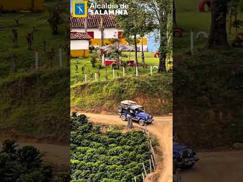 VEREDA CAÑAVERAL - SALAMINA CALDAS