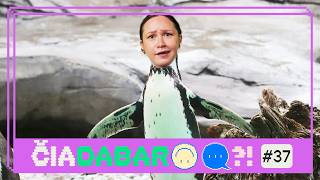 Kas dabar trendina? | Žinios „ČIA DABAR?!“ 🌍 | LRT VAIKAI