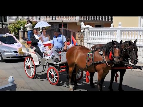 Svadbeno Veselje Gabrijela i Dijane Dusanovac 2012  1 deo