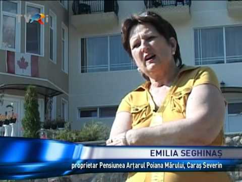PENSIUNEA ARŢARUL - staţiunea Poiana Mărului, Caraş Severin