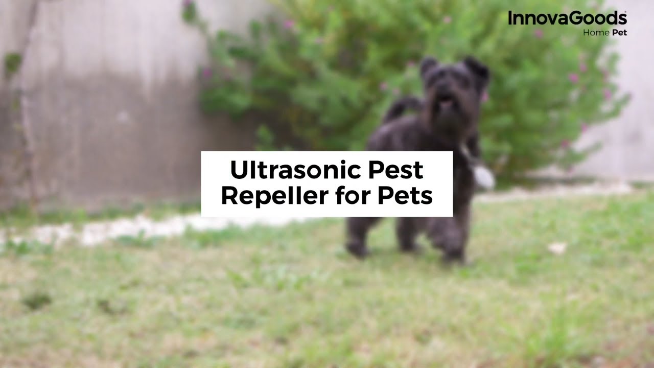 Įkraunamas ultragarsinis parazitų repelentas naminiams gyvūnėliams PetRep InnovaGoods Home Pet