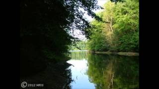 Mary Chapin Carpenter - Family Hands