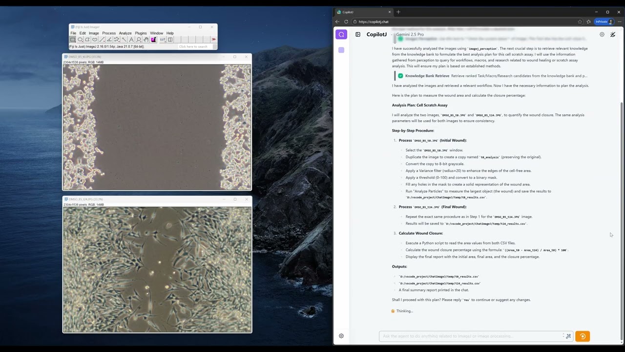 CopilotJ performs cell scratch assay quantification