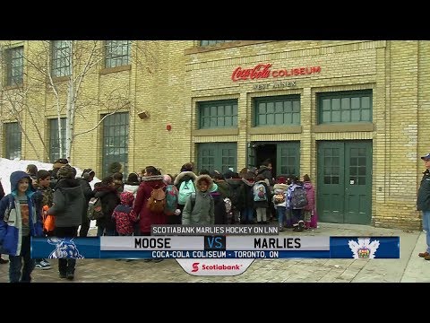 Moose vs. Marlies | Feb. 20, 2019