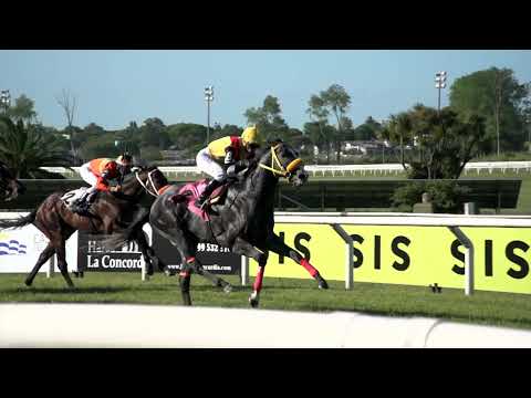 211107 c05 OLLIE AIR