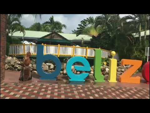 Aw Diss : I BELIZE I can fly !