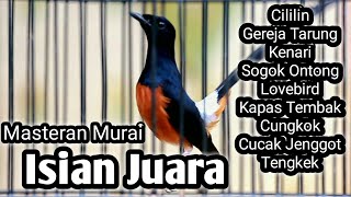 Download lagu MASTERAN MURAI BATU FULL ISIAN TEMBAKAN CILILIN KENARI CUNGKOK GEREJA SOGON DLL mp3
