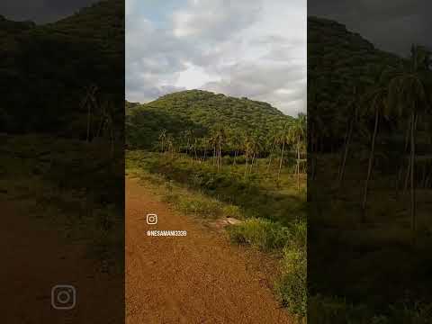 Manjari Dam view point #nature#explore#mountainview#cloudy#rainbow#vlog#theni#view#viral#viralvideo