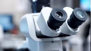 AbbVie  Determined to Make a Difference