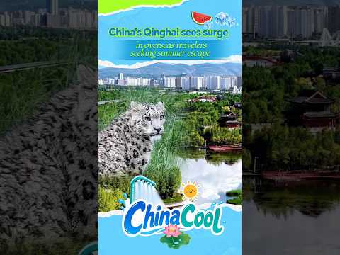 China's Qinghai sees surge in overseas travelers seeking summer escape #chinacool