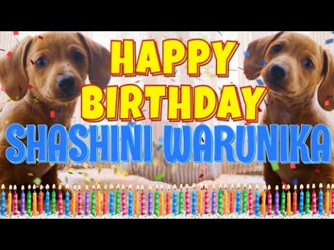 Happy Birthday Shashini Warunika! ( Funny Talking Dogs ) What Is Free On My Birthday