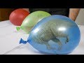 How To Make Dinosaur Ice Eggs