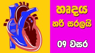 Grade 9 Science in Sinhala | Grade 9 Science Unit 06 Part 1 | 9 වසර විද්‍යාව 06 පාඩම | රුධිර සංසරණය