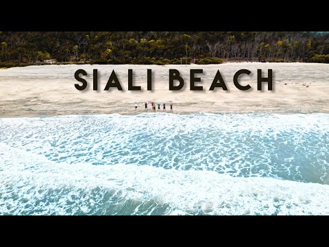 Siali Beach | Beaches in Odisha | Drone Video | 4K