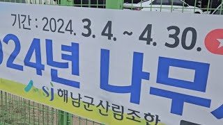 나무시장 모든 나무 가격 알아 봄니다. 저희는 무화과묘목 만 있어요.