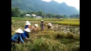 preview picture of video 'Mai Chau Tour, Biking Tours in Mai Chau, Trekking Tours in Mai Chau'