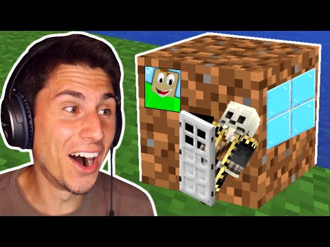 We Made A Minecraft Base INSIDE A DIRT BLOCK!