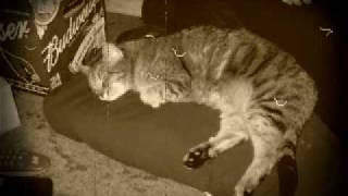 Jonathon Brandmeier - Just Having Fun