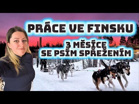 Jak vypadají 3 měsíce práce v psinci ve Finsku