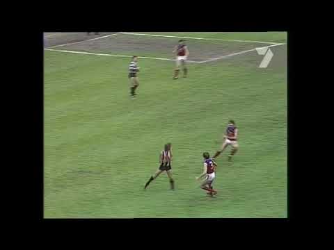Peter Daicos 1981 Finals Series