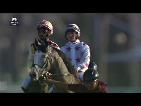 21st Race Meeting of Season 2019/2020