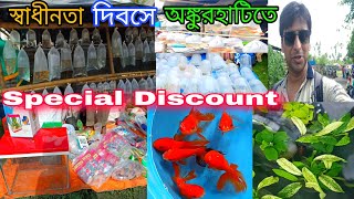 স্বাধীনতা দিবসে অঙ্কুরহাটিতে রঙিন মাছের দাম | Ankurhati Fish Market | Howrah Fish Pet Market 
