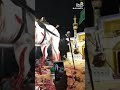 Hasen Hussain Ka Horse