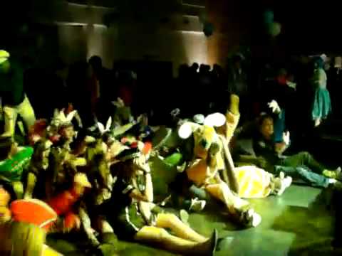 Zottemaandag 15 februari 2010.mp4