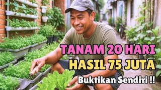 Download lagu LIMA TANAMAN PALING CEPAT MENGHASILKAN UANG DENGAN MODAL KECIL mp3 Download lagu LIMA TANAMAN PALING CEPAT MENGHASILKAN UANG DENGAN MODAL KECIL mp3