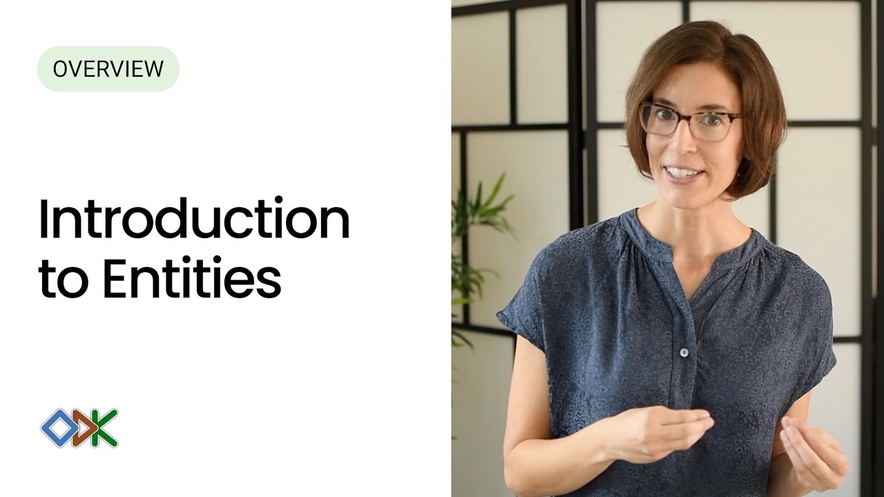 Introduction to Entities