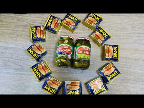 SPAM AND PICKLES | WEIGHT LOSS UPDATE & MORE