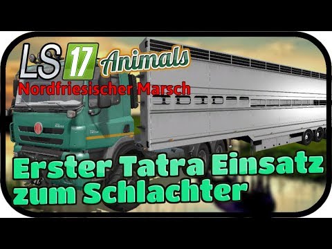 Erster Tatra Einsatz zum Schlachter #077 ANIMALS - LS17 NORDFRIESISCHER MARSCH ★  FARMING SIMULATOR