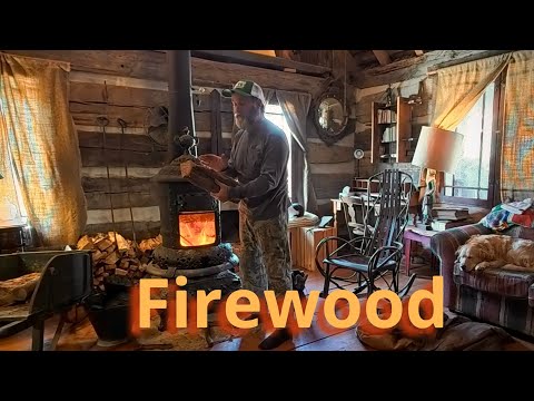 In the Days Before the Storm at the Cabin