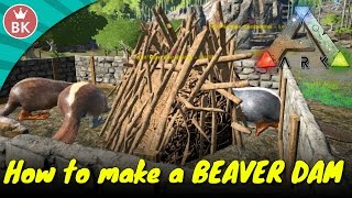 Beaver Dam Locations On The Island Map Ark Survival Evolved Castoroides تنزيل الموسيقى Mp3 مجانا Beaver Dam Locations On The Island Map Ark Survival Evolved Castoroides تنزيل الموسيقى Mp3 مجانا