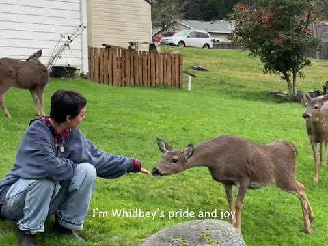 Bailey Bryan- best kept secret (official lyric video)