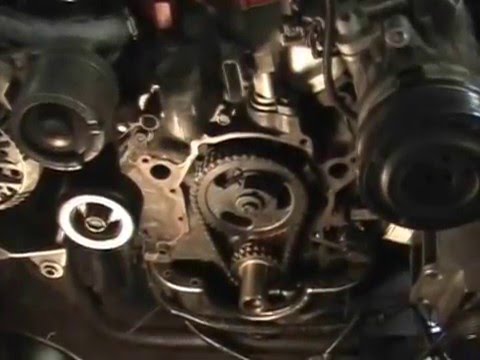 Tommy's 5 0  Mustang Timing Chain Cover Gasket Replacement