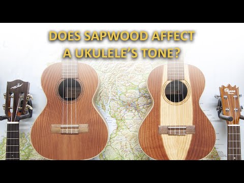 Does Sapwood Influence a Ukulele's Tone?